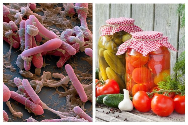 Қиш таоми — эҳтиётсизликдан заҳарга айланмасин!