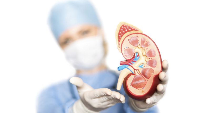 Буйрак етишмовчилиги: сабаблари, белгилари ва аҳамияти