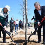 Ўзбекистонда Миллий дендрология боғи барпо этилди