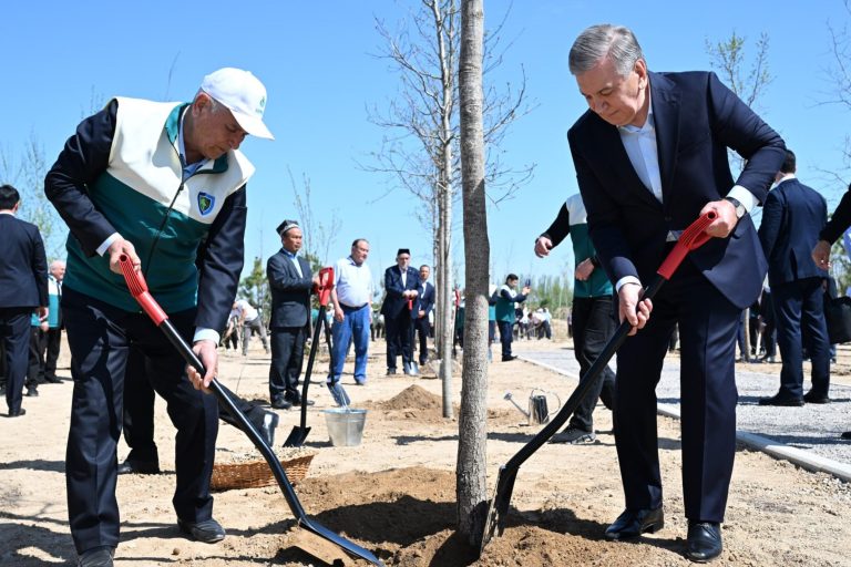 Ўзбекистонда Миллий дендрология боғи барпо этилди